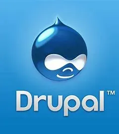 Illustratie bij Drupal CMS voor jouw nieuwe website?